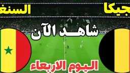 بث مباشر